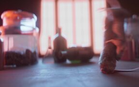 Experiment Trailer - Movie trailer - VIDEOTIME.COM