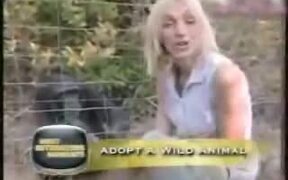 Unpredictable Animals - Animals - VIDEOTIME.COM