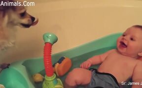 Baby Shower! - Animals - VIDEOTIME.COM
