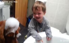 Baby Shower! - Animals - VIDEOTIME.COM
