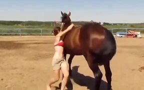 Even The Horse Showed It's Sympathy For The Girl - Animals - VIDEOTIME.COM