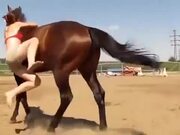Even The Horse Showed It's Sympathy For The Girl