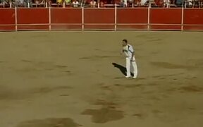 Guy Jumps Over a Bull - Animals - VIDEOTIME.COM