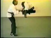 Karate Chimp Amazing!