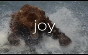 Bears Trailer