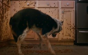 Pups Alone Official Trailer - Movie trailer - VIDEOTIME.COM