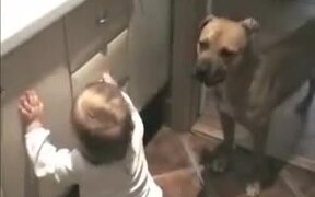 Dog And Baby Girl - Animals - VIDEOTIME.COM
