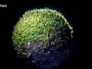 Eerie Miniature World Out Of Moss