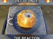 Molten Copper Vs Coconut