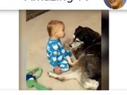 Dogs And Babies Are Best Friends