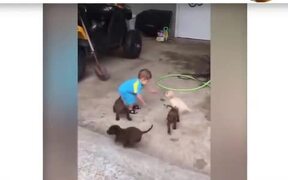 Dogs And Babies Are Best Friends - Animals - VIDEOTIME.COM