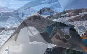 Antarctic Selfie - Animals - VIDEOTIME.COM