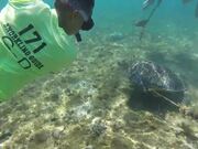 Swimmer Rescues Turtle Trapped By Rope