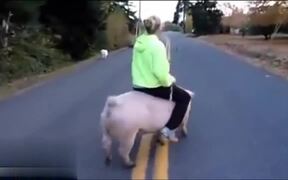 People Riding Animals - Animals - VIDEOTIME.COM
