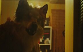 Strawberry Mansion Trailer - Movie trailer - VIDEOTIME.COM