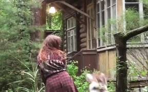 Dog Coordinates Dancing Steps With Owner - Animals - VIDEOTIME.COM