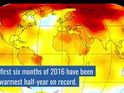 Climate Trends of 2016