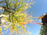 Duo Juggles Rings and Square Frames Beneath Tree