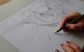 Artist Makes An Owl Collage With Magazine Pages - Fun - VIDEOTIME.COM