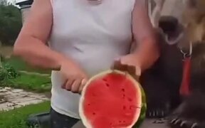 The Watermelon Season