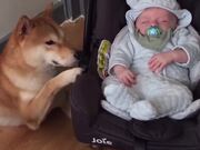 Baby & Doggy