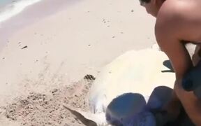Rescued The Turtle - Animals - VIDEOTIME.COM