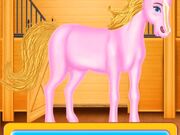 Bobby Horse Makeover Walkthrough - Games - Y8.COM