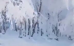 White Forest - Fun - VIDEOTIME.COM