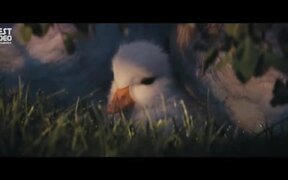 Little Duck - Anims - VIDEOTIME.COM
