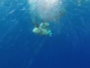 Unexpected Diving