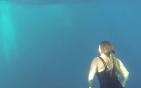 Swimming With Humpback Whales - Animals - VIDEOTIME.COM