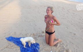 Bad Pets - Animals - VIDEOTIME.COM