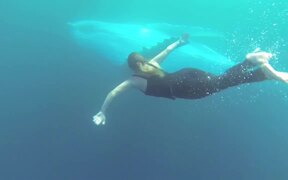 Swimming With Humpback Whales
