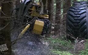 Incredible Tree Cutting Machine - Tech - VIDEOTIME.COM