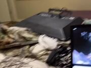 Cat Crashes as Dresser They Climb on Falls