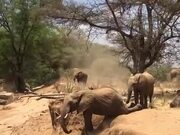 Elephant Falls Sideways