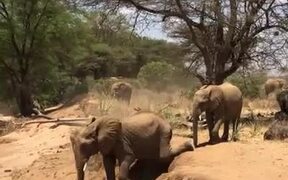 Elephant Falls Sideways