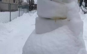 Dogs Play Obstacle Course Made of Snow - Animals - VIDEOTIME.COM