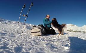 Dog Goes Skiing - Animals - VIDEOTIME.COM