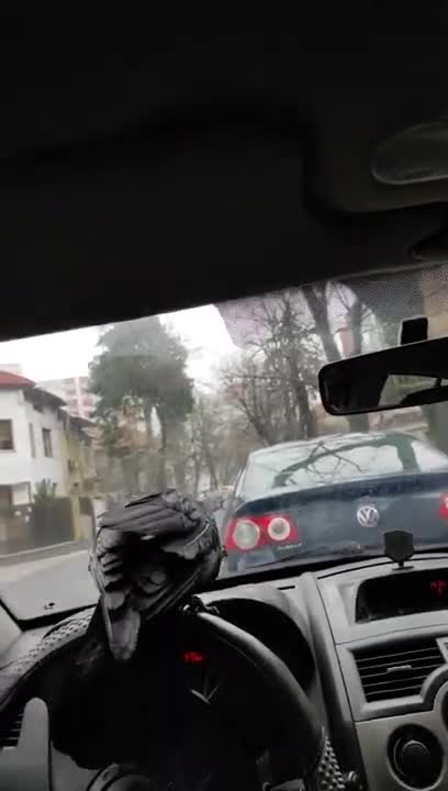 Crow Pretends Talking to Owner in Car