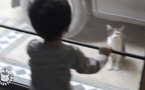 Kitten and Toddler Talk - So Cute - Animals - VIDEOTIME.COM