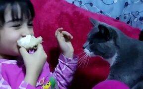 Cat Tries To Steal Food From Little Girl - Animals - VIDEOTIME.COM