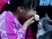 Cat Tries To Steal Food From Little Girl