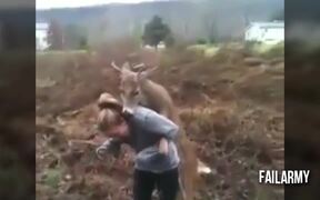 When Animals Attack - Animals - VIDEOTIME.COM