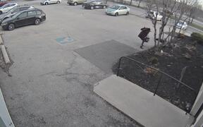 Protective Goose Attacks Girl in Parking Lot - Animals - VIDEOTIME.COM