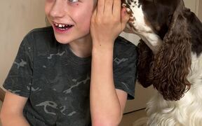 Dog Tries to Whisper into Owner's Ears - Animals - VIDEOTIME.COM