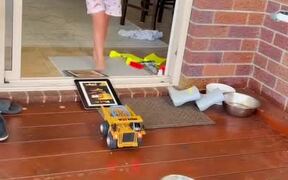 Toddler Feeds Dog Through Remote Control Toy Truck - Animals - VIDEOTIME.COM