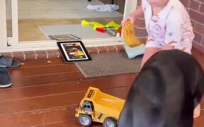 Toddler Feeds Dog Through Remote Control Toy Truck