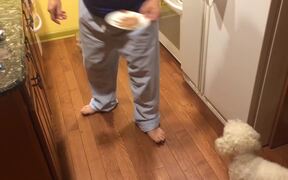 Dog Hates to Eat Alone - Animals - VIDEOTIME.COM