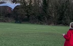 Kid Flies Bird Shaped Kite in Playground - Kids - VIDEOTIME.COM